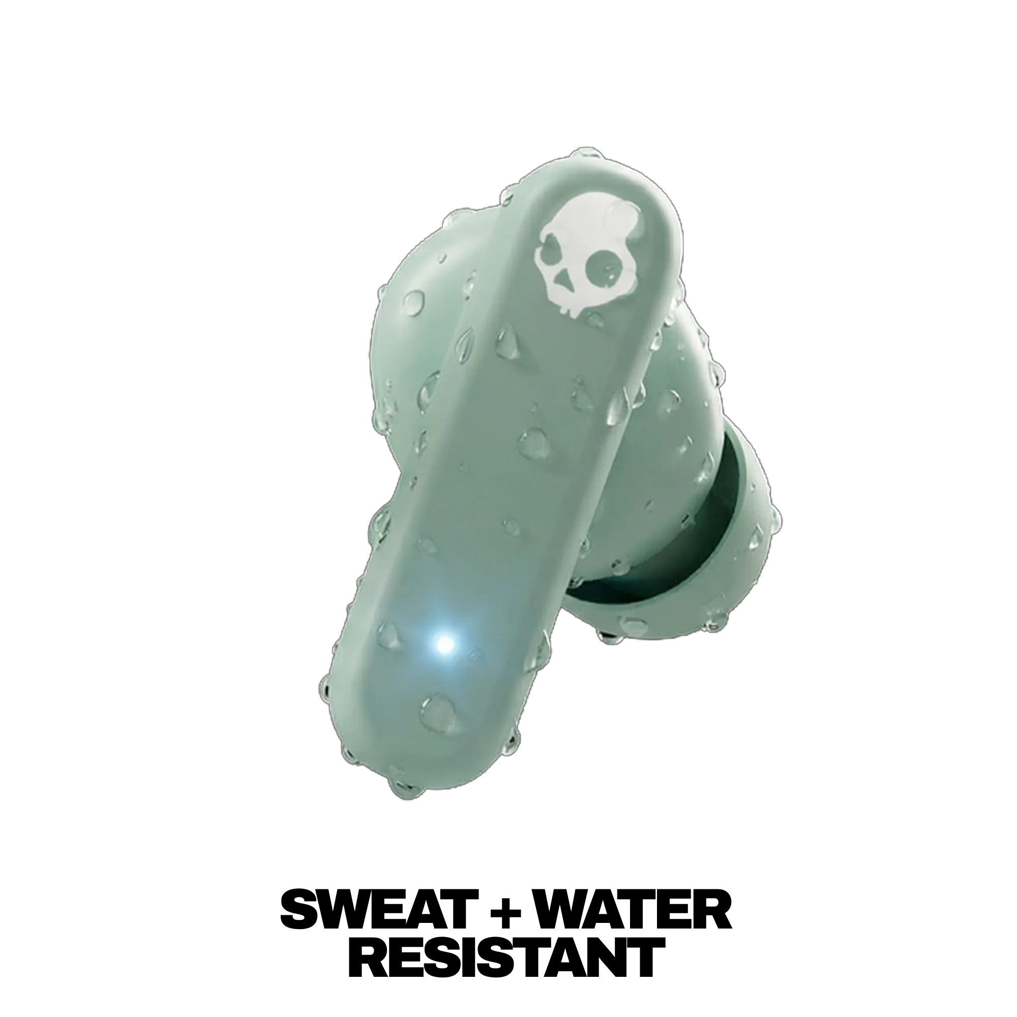 Bone