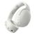 Bone